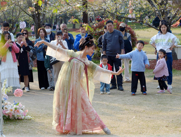清明假期期間，上海顧村公園櫻花島上，游客在觀賞國風漢服快閃表演。（圖片來源：視覺中國）