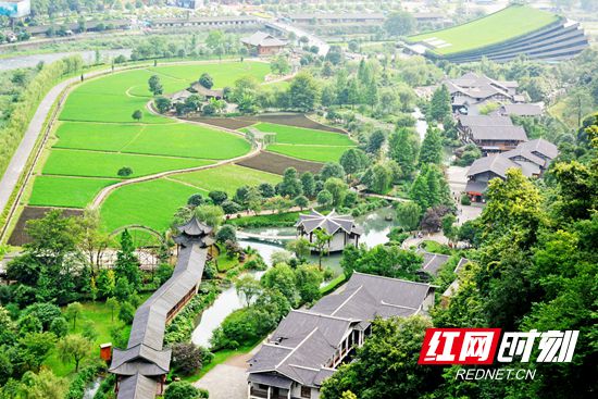 DSC_1577_副本.jpg DSC_1577_副本.jpg